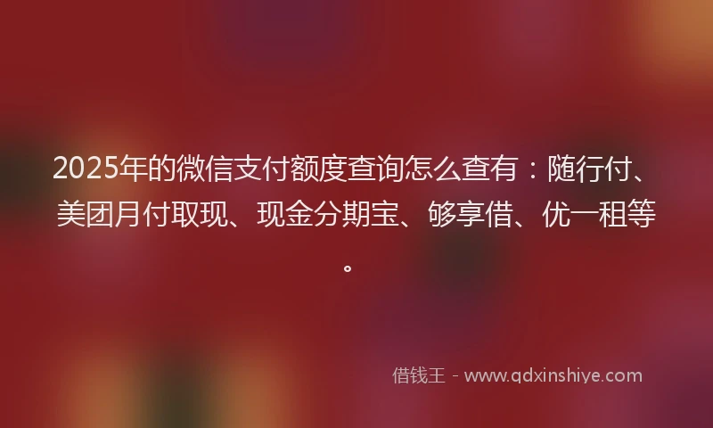 2025年的微信支付额度查询怎么查有：随行付、美团月付取现、现金分期宝、够享借、优一租等。
