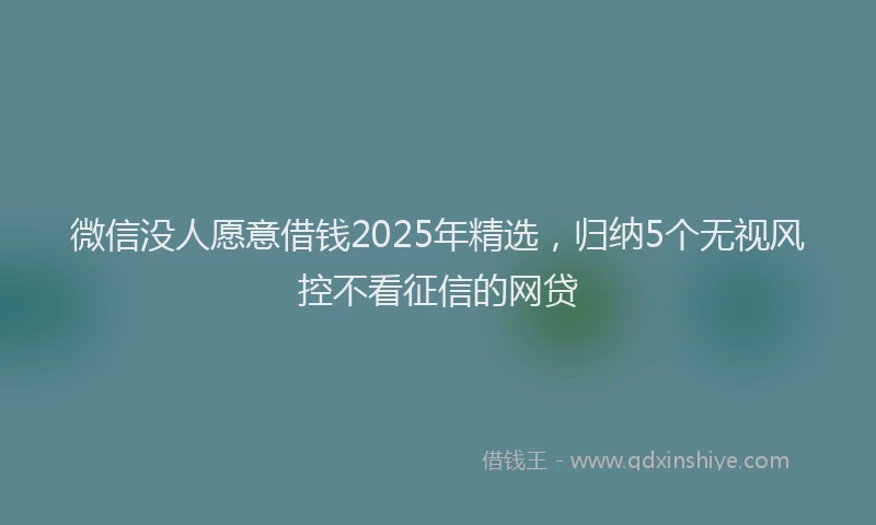 微信没人愿意借钱2025年精选，归纳5个无视风控不看征信的网贷