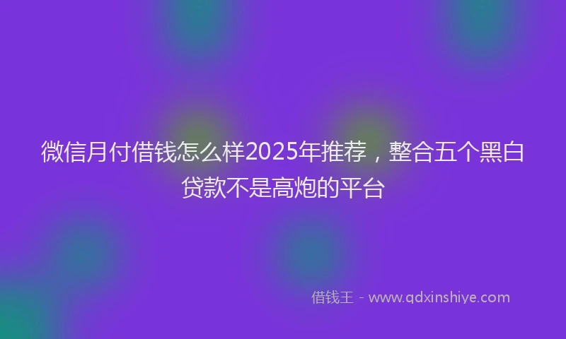 微信月付借钱怎么样2025年推荐，整合五个黑白贷款不是高炮的平台