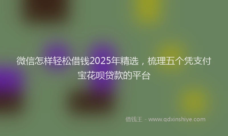 微信怎样轻松借钱2025年精选，梳理五个凭支付宝花呗贷款的平台