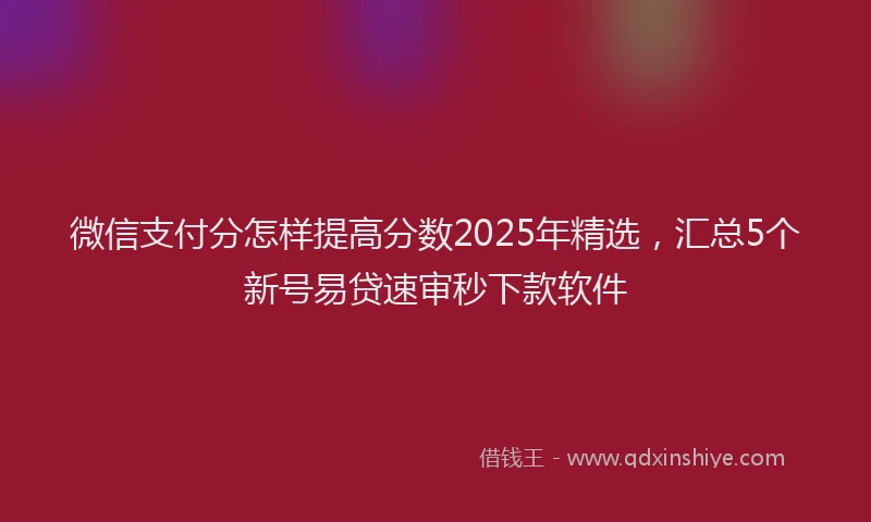 微信支付分怎样提高分数2025年精选，汇总5个新号易贷速审秒下款软件