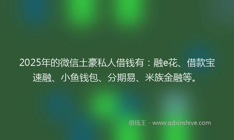 2025年的微信土豪私人借钱有：融e花、借款宝速融、小鱼钱包、分期易、米族金融等。