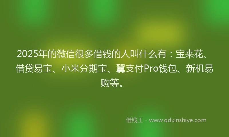 2025年的微信很多借钱的人叫什么有：宝来花、借贷易宝、小米分期宝、翼支付Pro钱包、新机易购等。