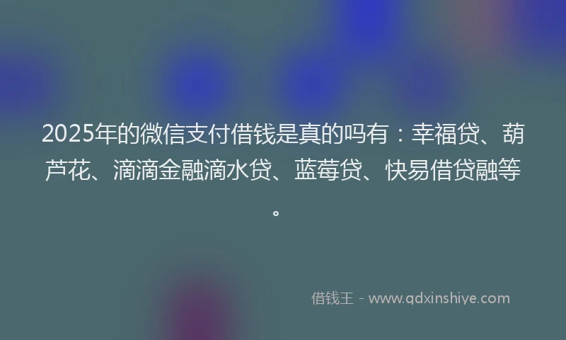 2025年的微信支付借钱是真的吗有：幸福贷、葫芦花、滴滴金融滴水贷、蓝莓贷、快易借贷融等。