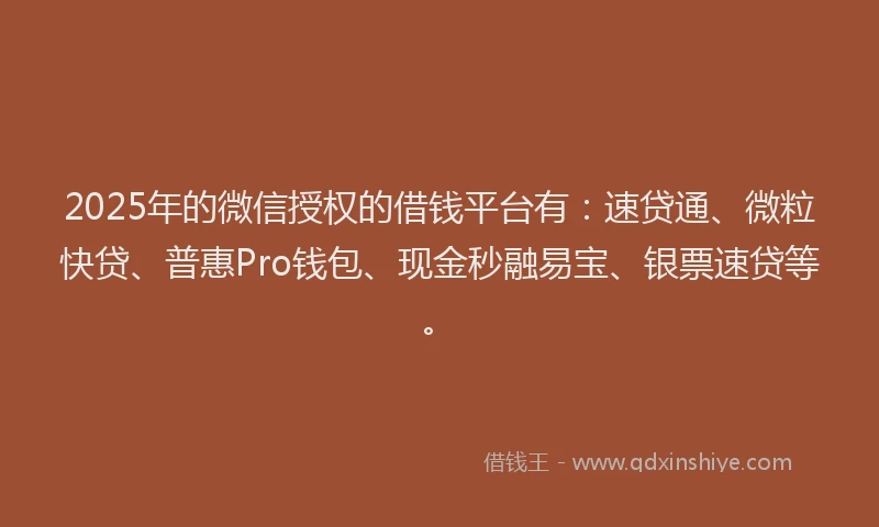 2025年的微信授权的借钱平台有：速贷通、微粒快贷、普惠Pro钱包、现金秒融易宝、银票速贷等。