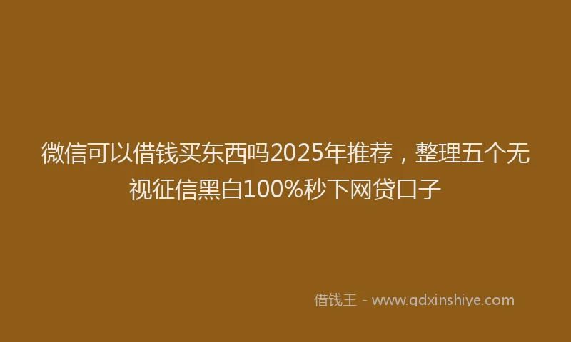 微信可以借钱买东西吗2025年推荐，整理五个无视征信黑白100%秒下网贷口子