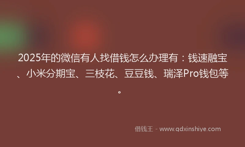 2025年的微信有人找借钱怎么办理有：钱速融宝、小米分期宝、三枝花、豆豆钱、瑞泽Pro钱包等。