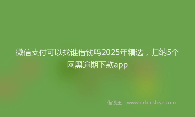 微信支付可以找谁借钱吗2025年精选，归纳5个网黑逾期下款app