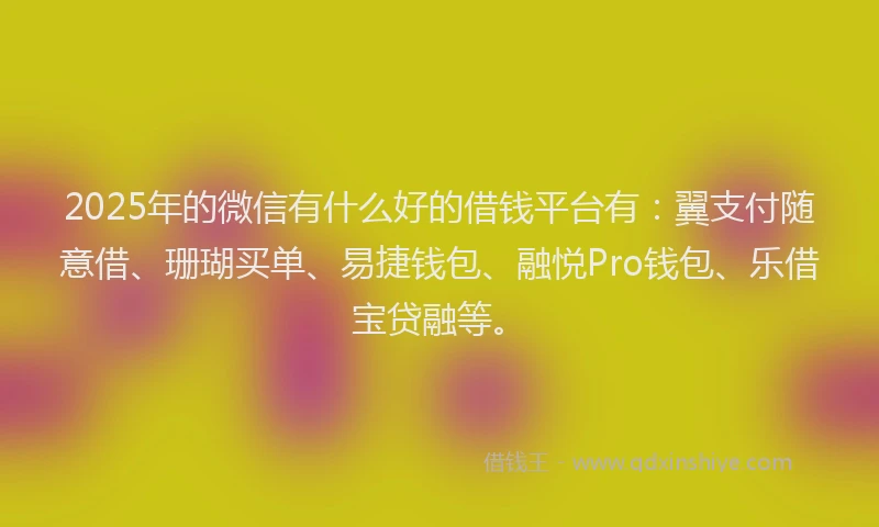 2025年的微信有什么好的借钱平台有：翼支付随意借、珊瑚买单、易捷钱包、融悦Pro钱包、乐借宝贷融等。