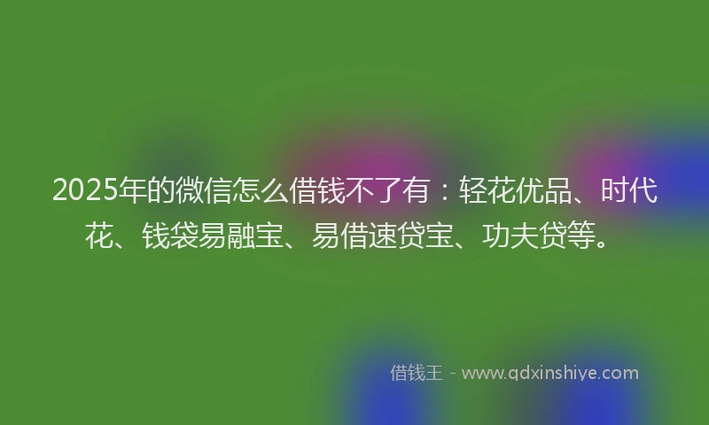 2025年的微信怎么借钱不了有：轻花优品、时代花、钱袋易融宝、易借速贷宝、功夫贷等。
