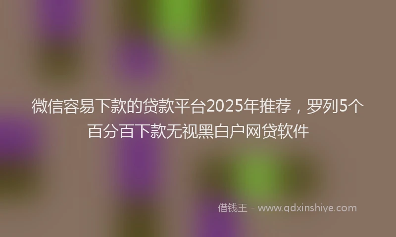 微信容易下款的贷款平台2025年推荐，罗列5个百分百下款无视黑白户网贷软件
