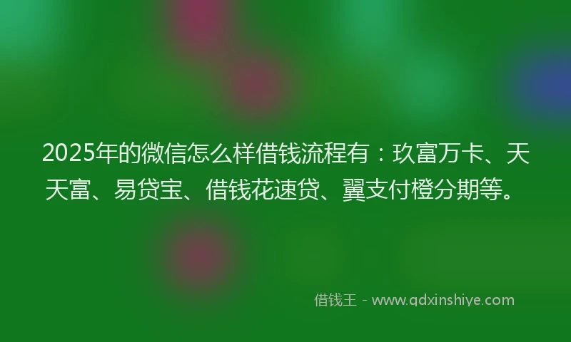 2025年的微信怎么样借钱流程有：玖富万卡、天天富、易贷宝、借钱花速贷、翼支付橙分期等。