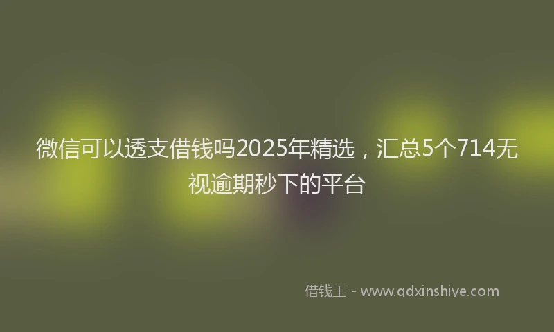 微信可以透支借钱吗2025年精选，汇总5个714无视逾期秒下的平台