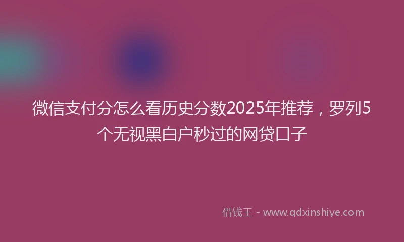 微信支付分怎么看历史分数2025年推荐，罗列5个无视黑白户秒过的网贷口子