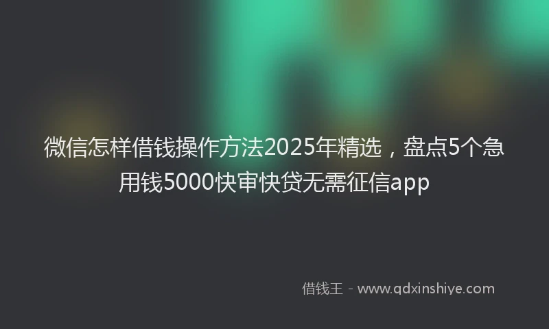 微信怎样借钱操作方法2025年精选，盘点5个急用钱5000快审快贷无需征信app