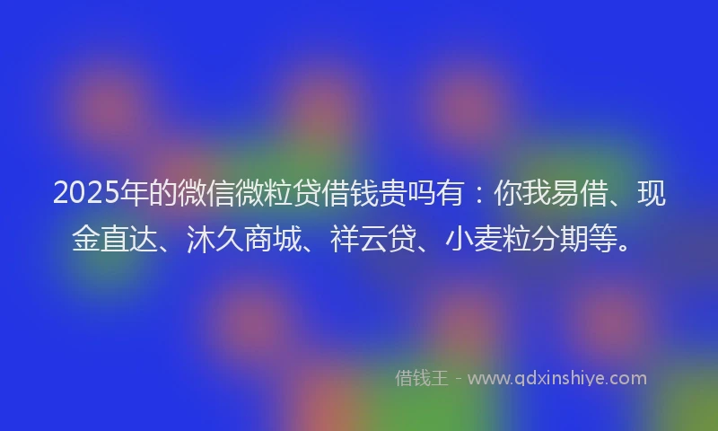 2025年的微信微粒贷借钱贵吗有：你我易借、现金直达、沐久商城、祥云贷、小麦粒分期等。