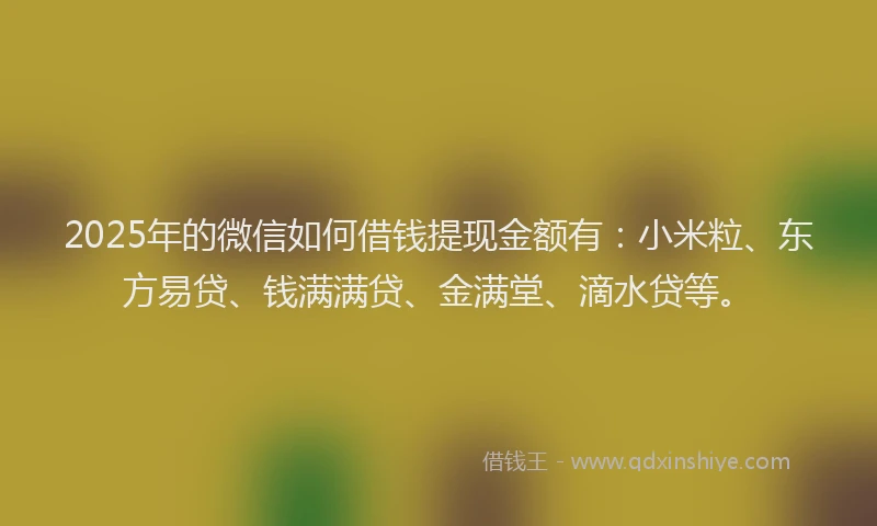 2025年的微信如何借钱提现金额有：小米粒、东方易贷、钱满满贷、金满堂、滴水贷等。