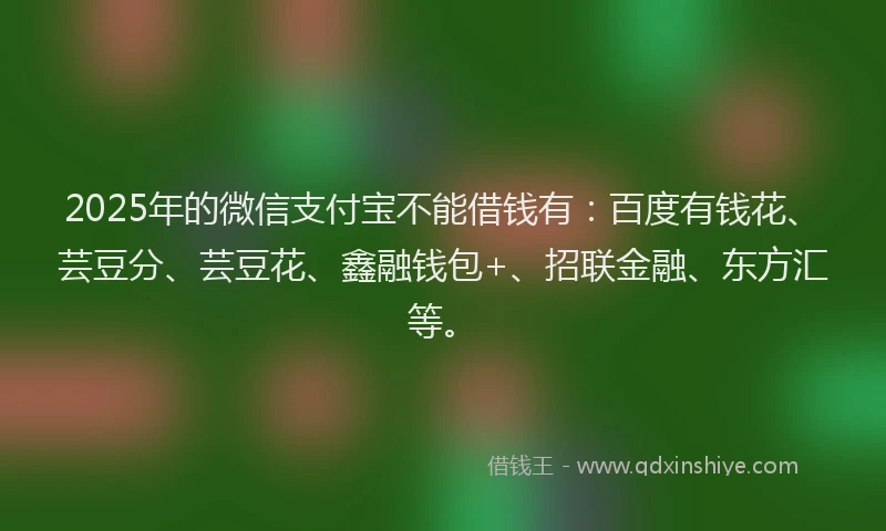 2025年的微信支付宝不能借钱有：百度有钱花、芸豆分、芸豆花、鑫融钱包+、招联金融、东方汇等。
