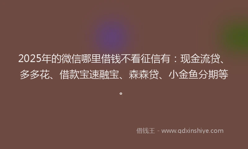 2025年的微信哪里借钱不看征信有：现金流贷、多多花、借款宝速融宝、森森贷、小金鱼分期等。