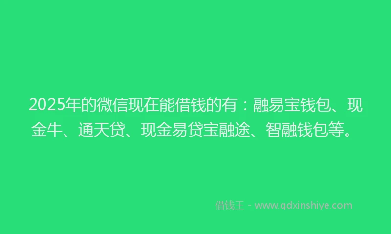 2025年的微信现在能借钱的有：融易宝钱包、现金牛、通天贷、现金易贷宝融途、智融钱包等。