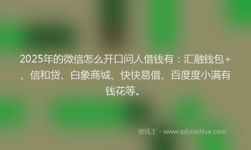 2025年的微信怎么开口问人借钱有：汇融钱包+、信和贷、白象商城、快快易借、百度度小满有钱花等。