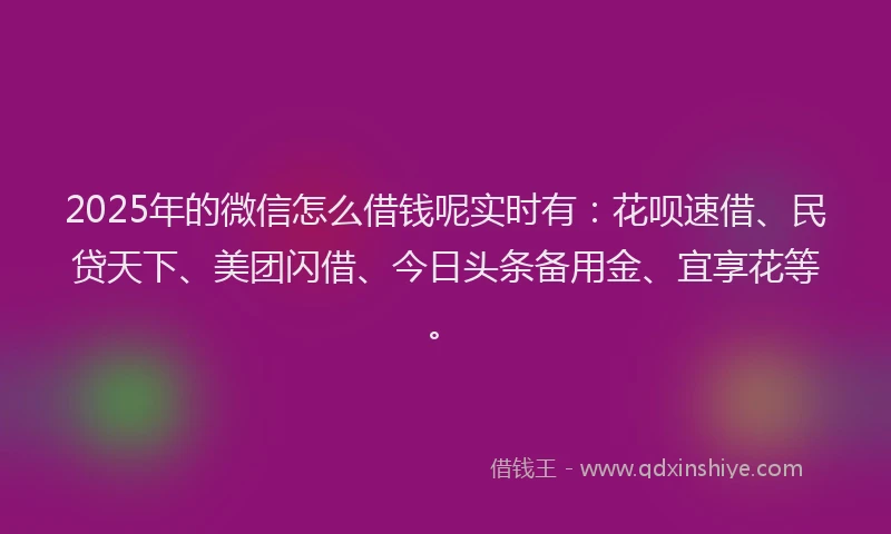2025年的微信怎么借钱呢实时有：花呗速借、民贷天下、美团闪借、今日头条备用金、宜享花等。