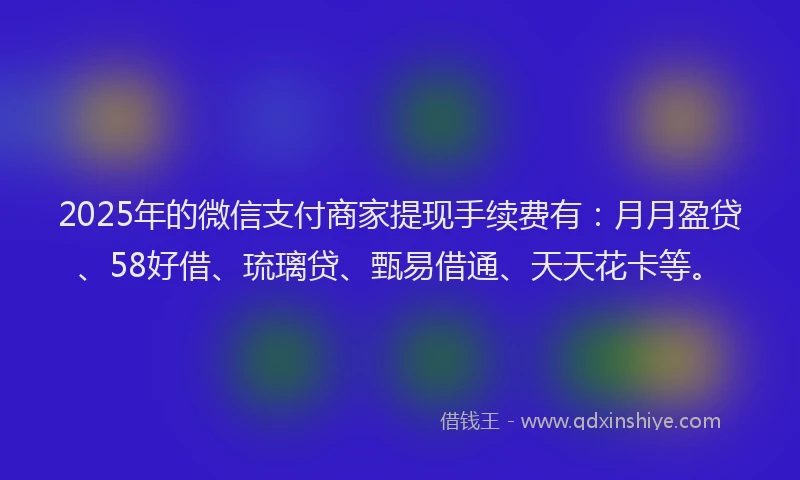 2025年的微信支付商家提现手续费有：月月盈贷、58好借、琉璃贷、甄易借通、天天花卡等。