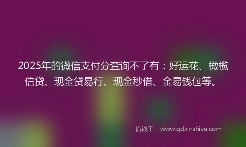 2025年的微信支付分查询不了有：好运花、橄榄信贷、现金贷易行、现金秒借、金易钱包等。