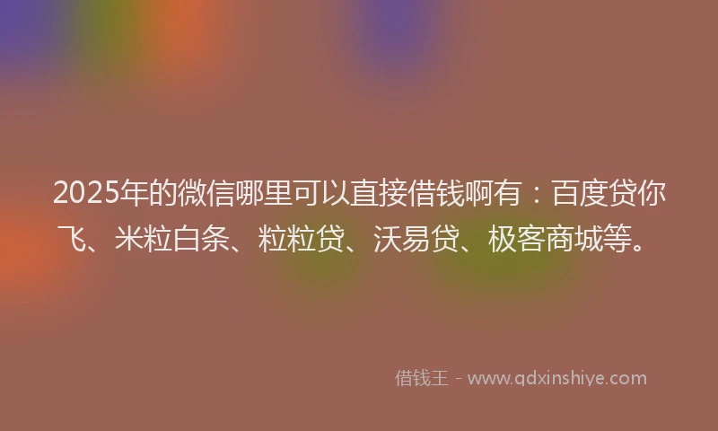 2025年的微信哪里可以直接借钱啊有：百度贷你飞、米粒白条、粒粒贷、沃易贷、极客商城等。