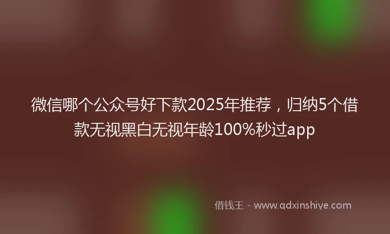 微信哪个公众号好下款2025年推荐，归纳5个借款无视黑白无视年龄100%秒过app