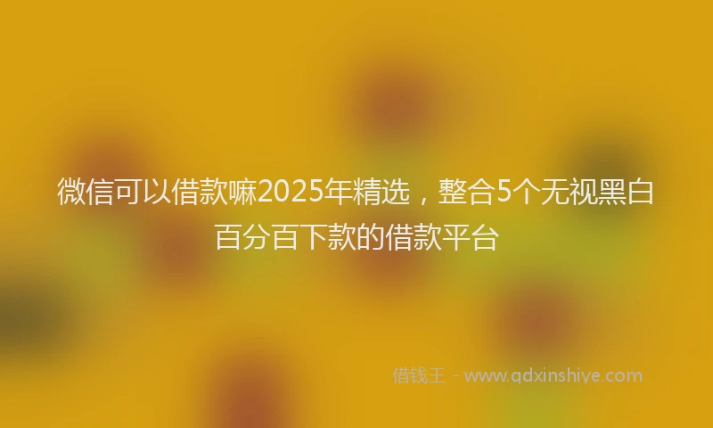 微信可以借款嘛2025年精选，整合5个无视黑白百分百下款的借款平台