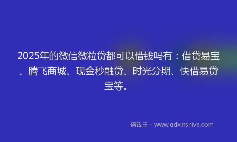 2025年的微信微粒贷都可以借钱吗有：借贷易宝、腾飞商城、现金秒融贷、时光分期、快借易贷宝等。
