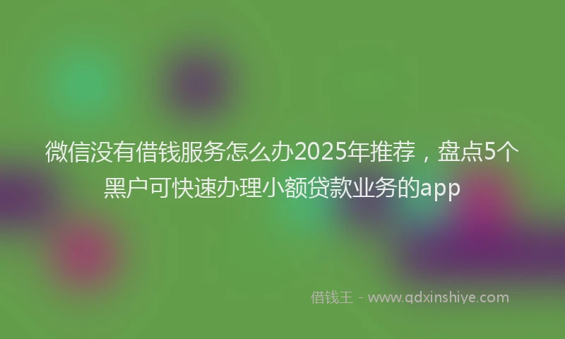 微信没有借钱服务怎么办2025年推荐，盘点5个黑户可快速办理小额贷款业务的app