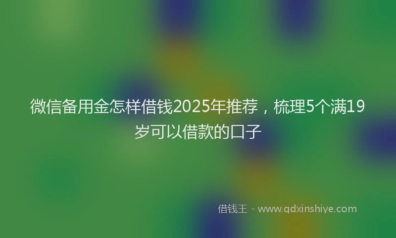 微信备用金怎样借钱2025年推荐，梳理5个满19岁可以借款的口子