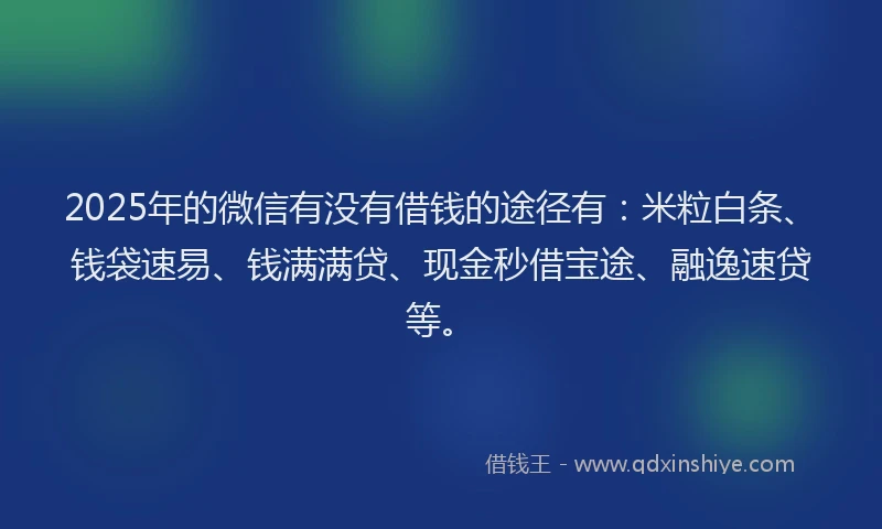2025年的微信有没有借钱的途径有：米粒白条、钱袋速易、钱满满贷、现金秒借宝途、融逸速贷等。