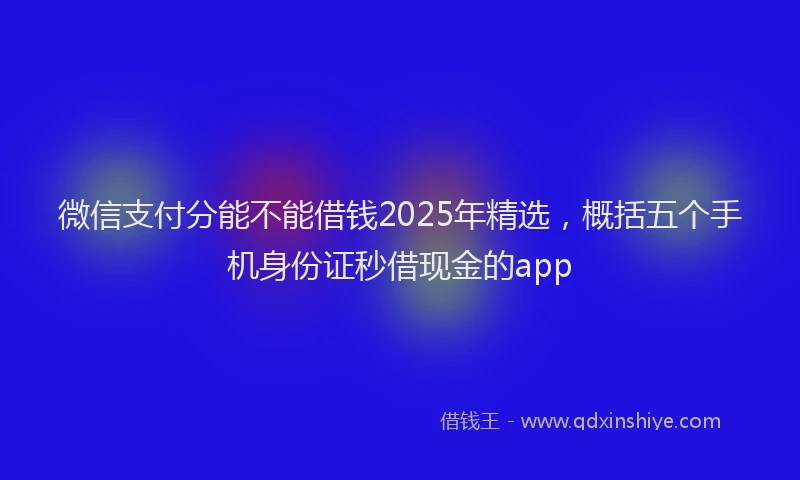 微信支付分能不能借钱2025年精选，概括五个手机身份证秒借现金的app
