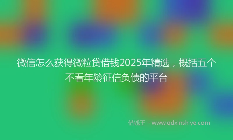 微信怎么获得微粒贷借钱2025年精选，概括五个不看年龄征信负债的平台