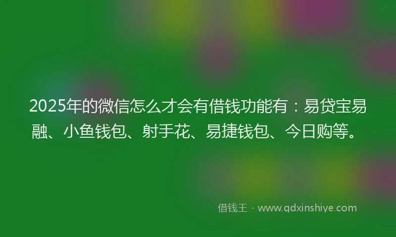 2025年的微信怎么才会有借钱功能有：易贷宝易融、小鱼钱包、射手花、易捷钱包、今日购等。