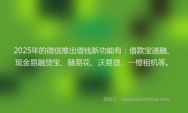 2025年的微信推出借钱新功能有：借款宝速融、现金易融贷宝、随易花、沃易贷、一橙租机等。