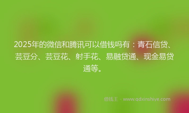 2025年的微信和腾讯可以借钱吗有：青石信贷、芸豆分、芸豆花、射手花、易融贷通、现金易贷通等。