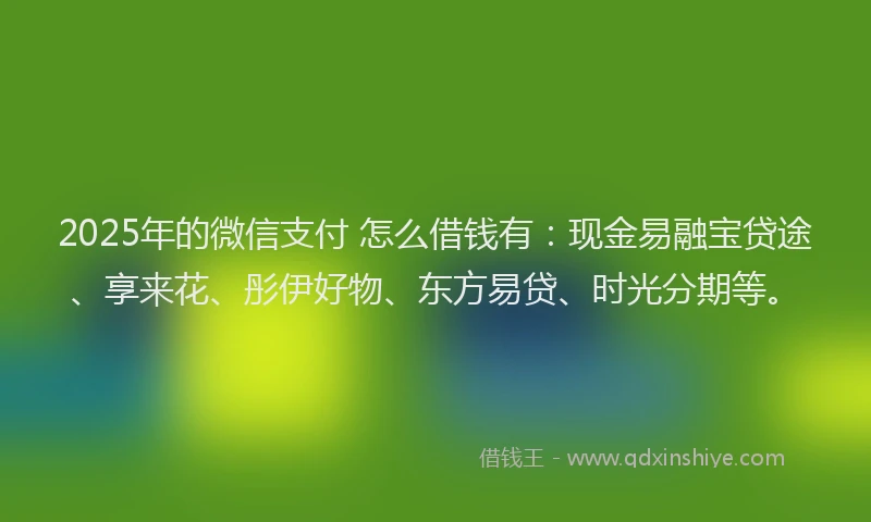 2025年的微信支付 怎么借钱有：现金易融宝贷途、享来花、彤伊好物、东方易贷、时光分期等。