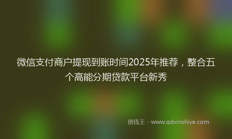 微信支付商户提现到账时间2025年推荐，整合五个高能分期贷款平台新秀