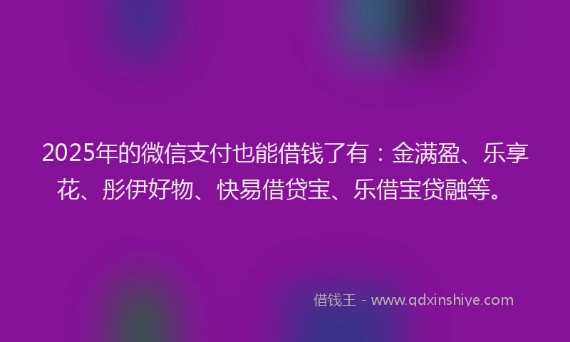 2025年的微信支付也能借钱了有：金满盈、乐享花、彤伊好物、快易借贷宝、乐借宝贷融等。