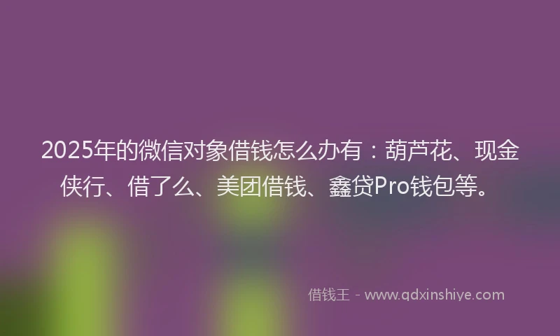 2025年的微信对象借钱怎么办有：葫芦花、现金侠行、借了么、美团借钱、鑫贷Pro钱包等。