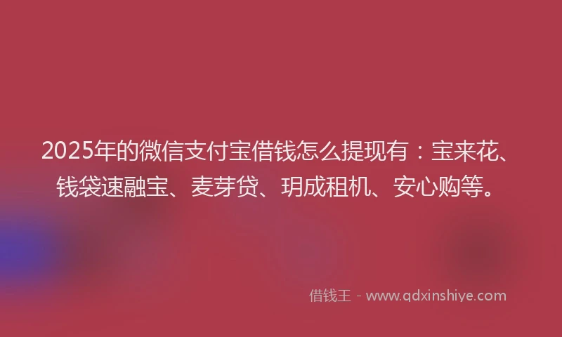 2025年的微信支付宝借钱怎么提现有：宝来花、钱袋速融宝、麦芽贷、玥成租机、安心购等。