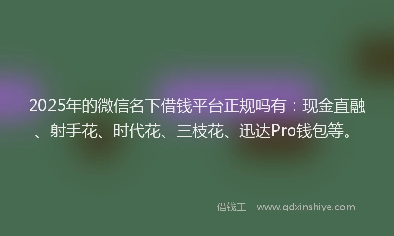 2025年的微信名下借钱平台正规吗有：现金直融、射手花、时代花、三枝花、迅达Pro钱包等。