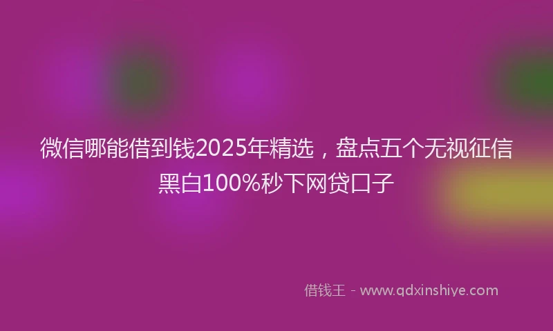 微信哪能借到钱2025年精选，盘点五个无视征信黑白100%秒下网贷口子