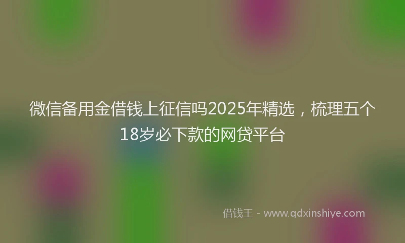 微信备用金借钱上征信吗2025年精选，梳理五个18岁必下款的网贷平台