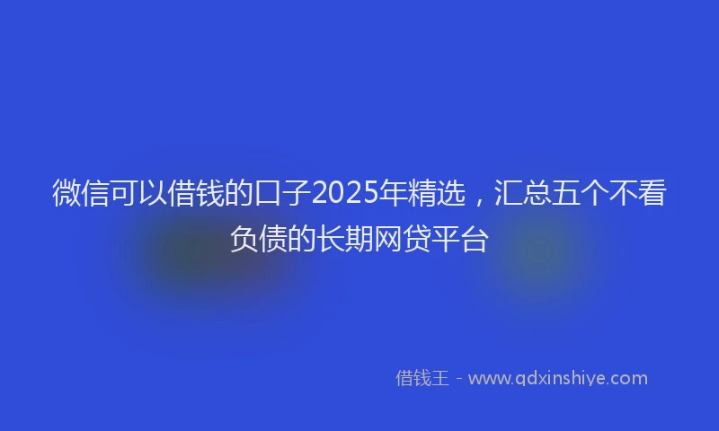 微信可以借钱的口子2025年精选，汇总五个不看负债的长期网贷平台
