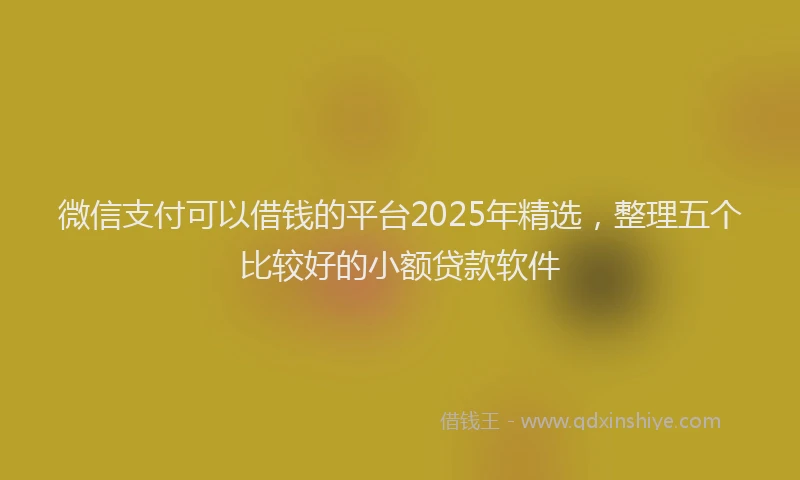 微信支付可以借钱的平台2025年精选，整理五个比较好的小额贷款软件